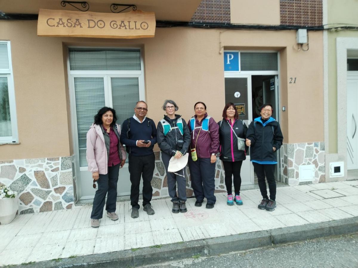 Pension Casa Do Gallo ساريا المظهر الخارجي الصورة